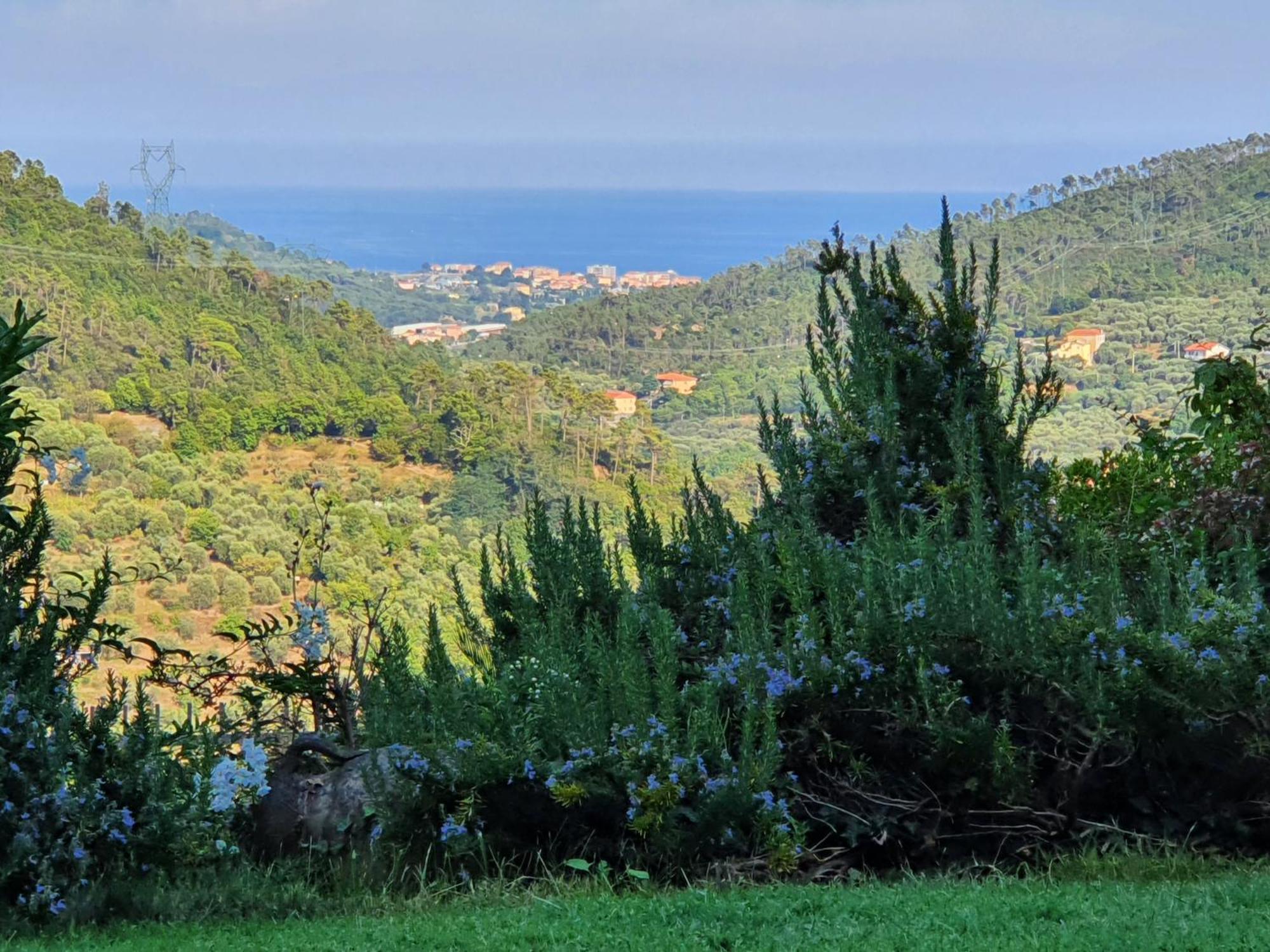 Villa Claudia Quiliano Exteriér fotografie