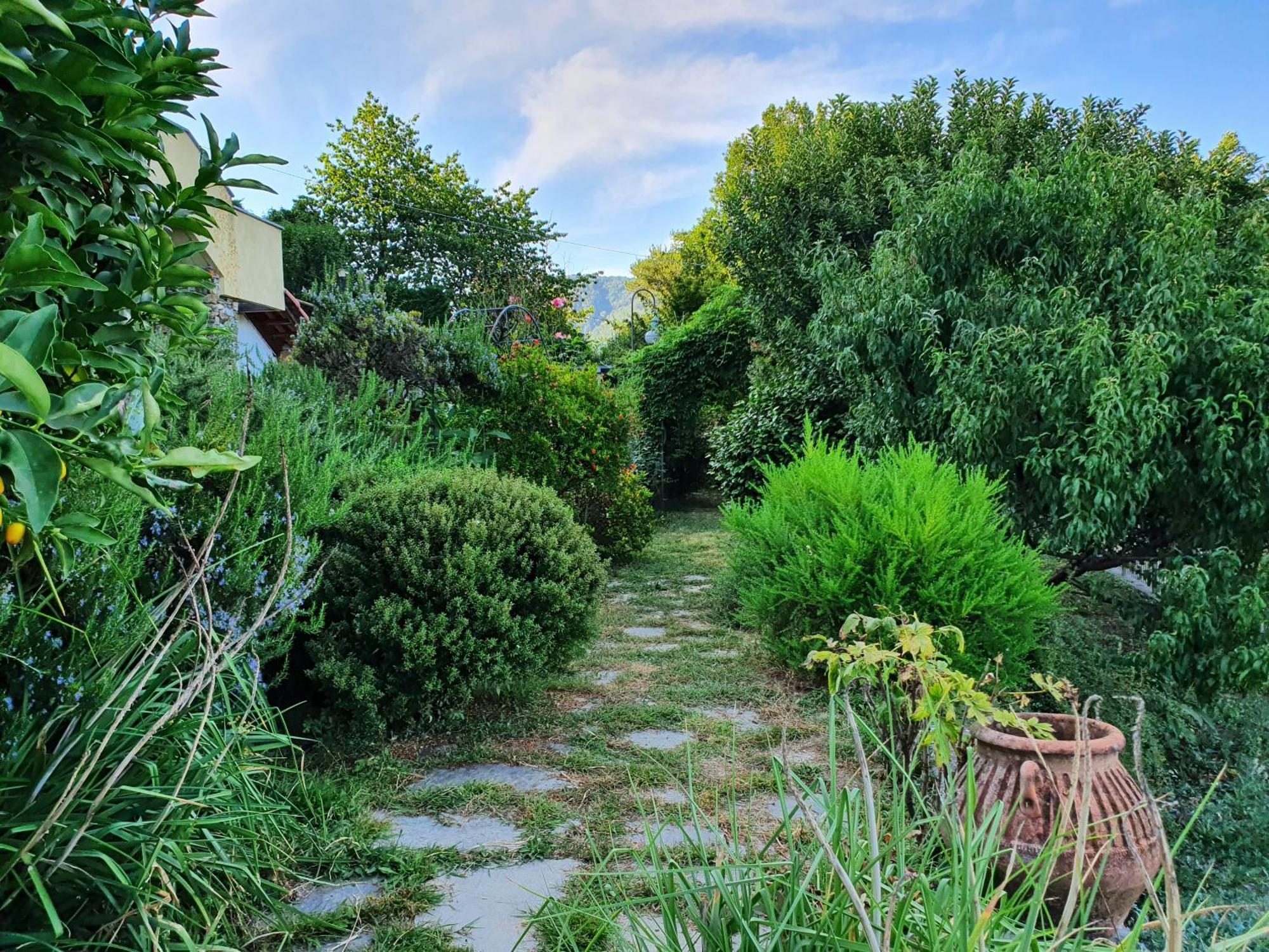 Villa Claudia Quiliano Exteriér fotografie
